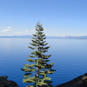 Meet your Posher, Jane